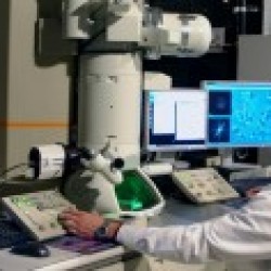 Plano foi desenvolvido a partir da Estratégia Nacional de Ciência, Tecnologia e Inovação (Encti) - Foto: Ascom/MCTIC